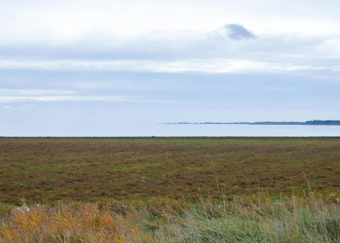 Havnebyvej Iii * Bolilmark